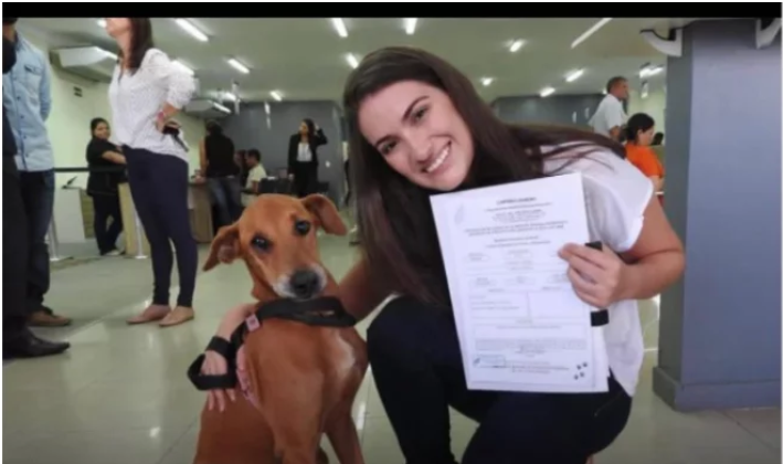 O cão pastor inglês velho do cão que guarda a placa com escreve abraça-me.