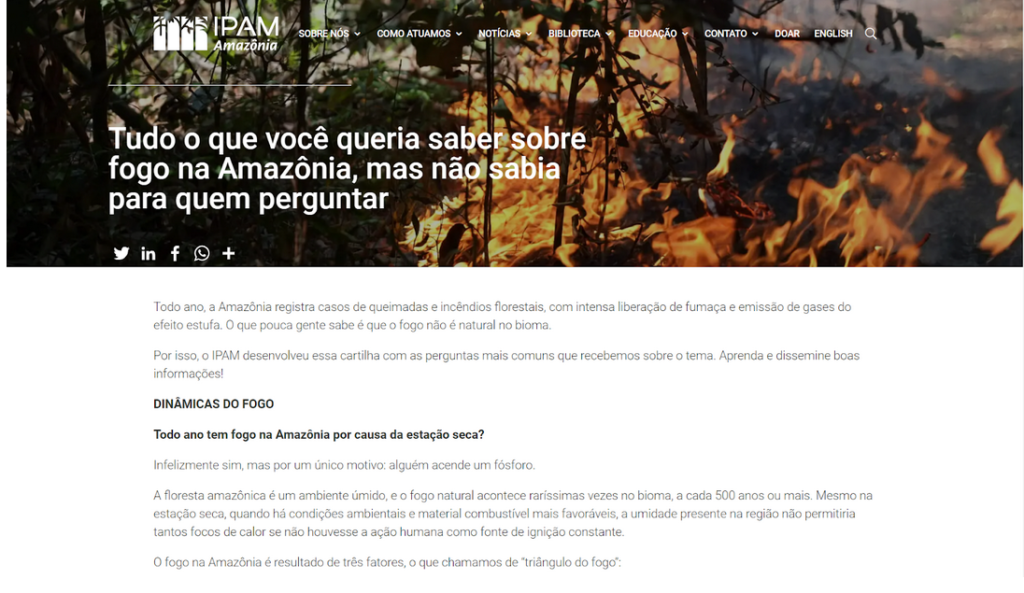 Papa aos comunicadores: contrastar as fake news, mas não isolar os que têm  dúvidas